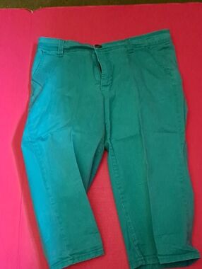 Lee Men's Teal Green Chino Pants